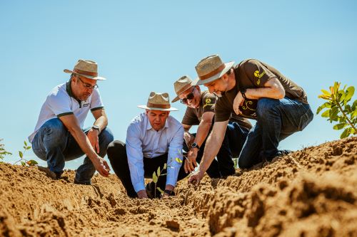 SUSTENTABILIDADE -  Galvani Fertilizantes intensifica investimentos em energia renovável no oeste da Bahia