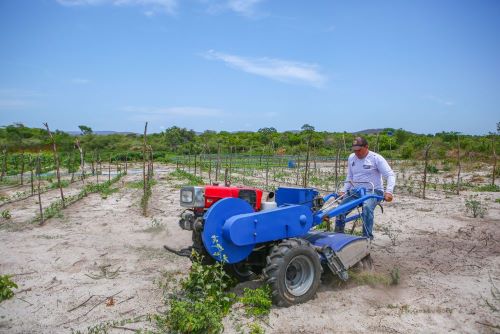 PIAUÍ  -  Relatório da Seplan revela dados relevantes no  mercado de trabalho agropecuário