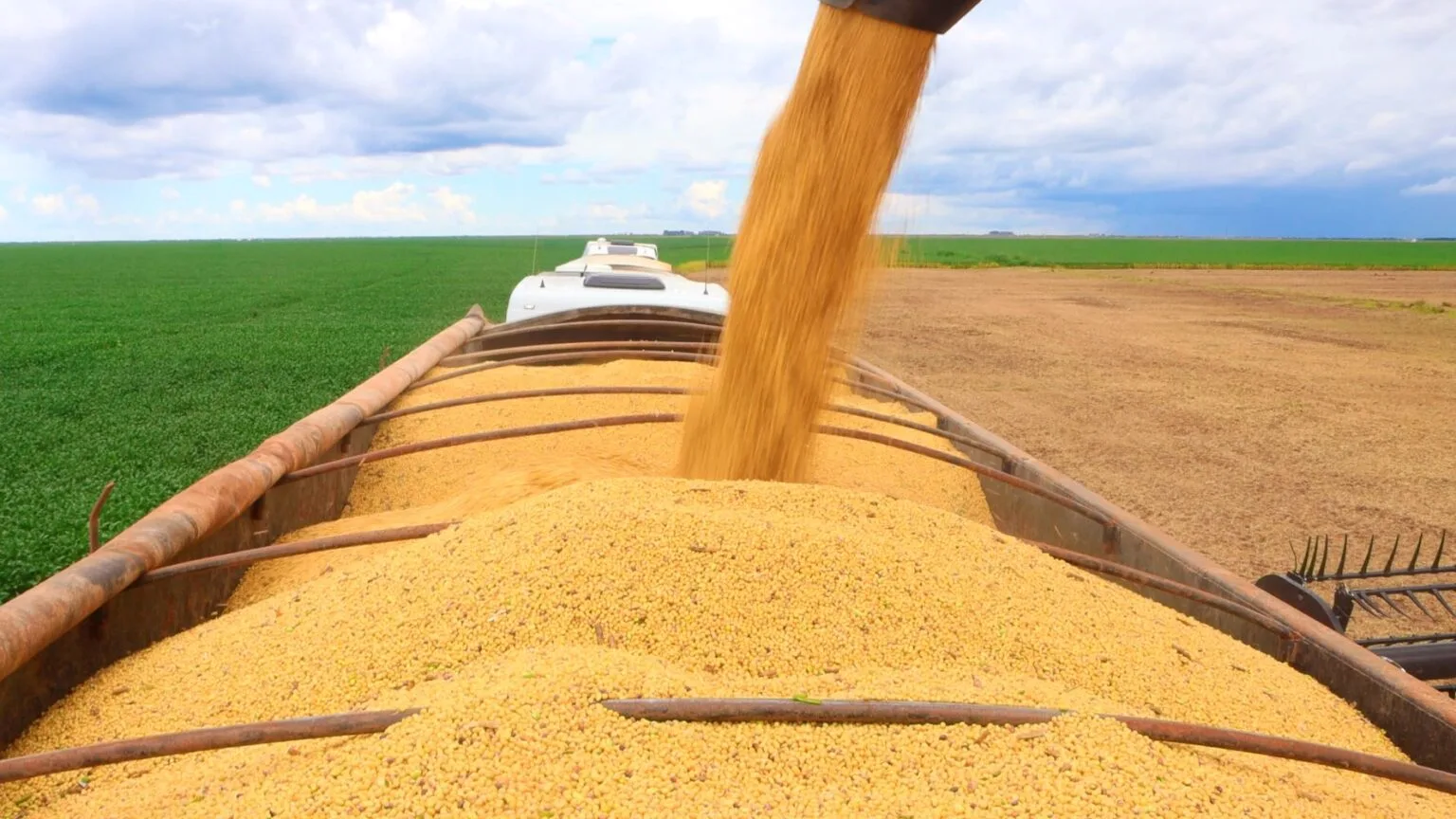 AGRICULTURA BAIANA - Expectativas positivas e desafios na produção agrícola da Bahia para 2025