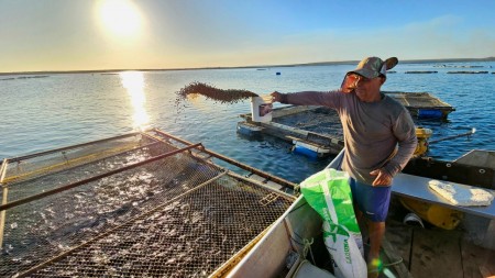 AQUICULTURA: Uma solução sustentável para a segurança alimentar na Amazônia