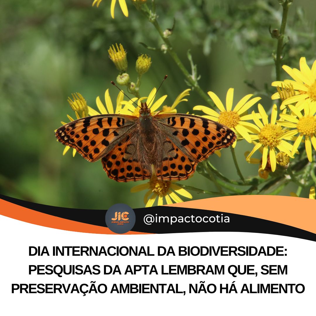 Dia Internacional da Biodiversidade: pesquisas da Apta lembram que, sem preservação ambiental, não há alimento