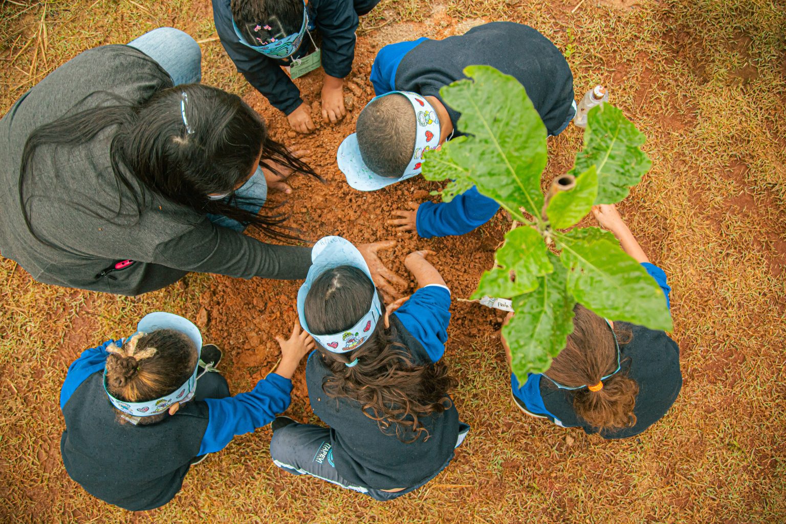 PREFEITURA DE ITAPEVI PROMOVE SEMANA DO MEIO AMBIENTE