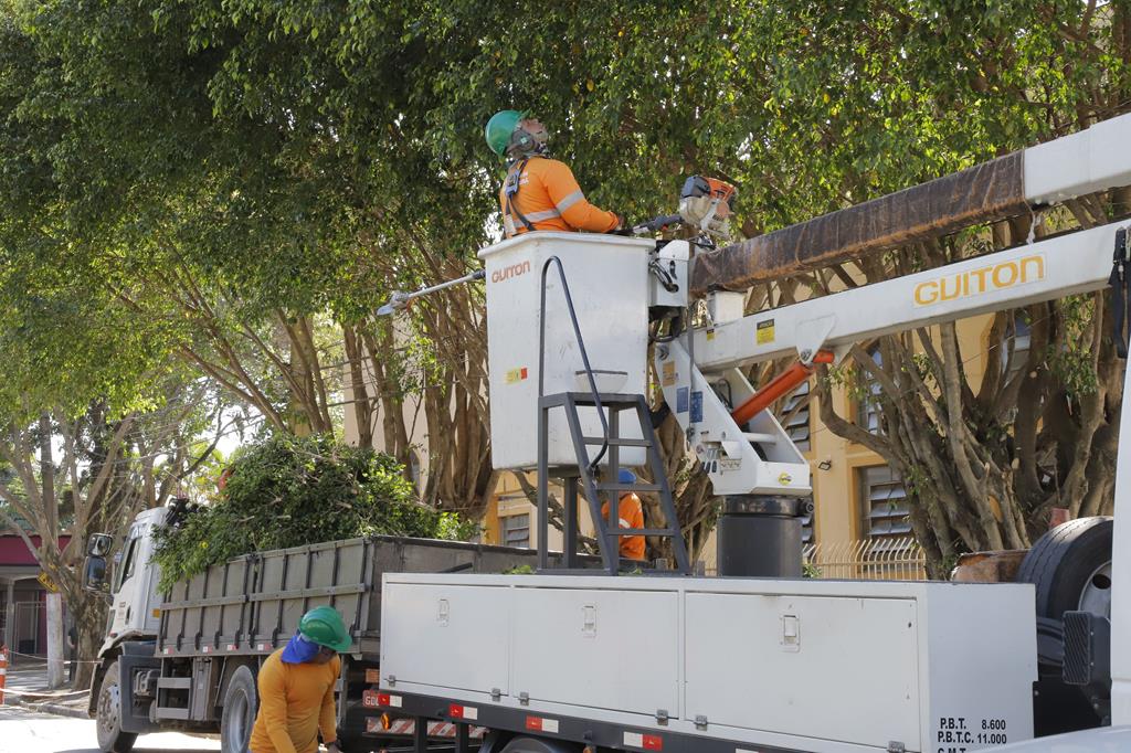 Barueri inicia um novo modelo de gestão de arborização urbana