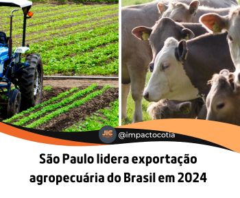 São Paulo lidera exportação agropecuária do Brasil em 2024