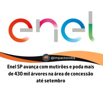 Enel SP avança com mutirões e poda mais de 430 mil árvores na área de concessão até setembro