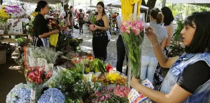 Floricultura do parque já não passa de um retrato na parede