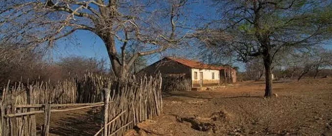 Seca instalada em 135 municípios mineiros