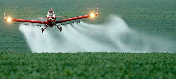 Ares do Cerrado envenenados pelo agronegócio