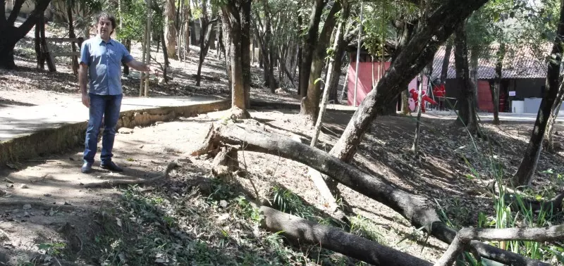 Quanto mais áreas verdes em BH, melhor