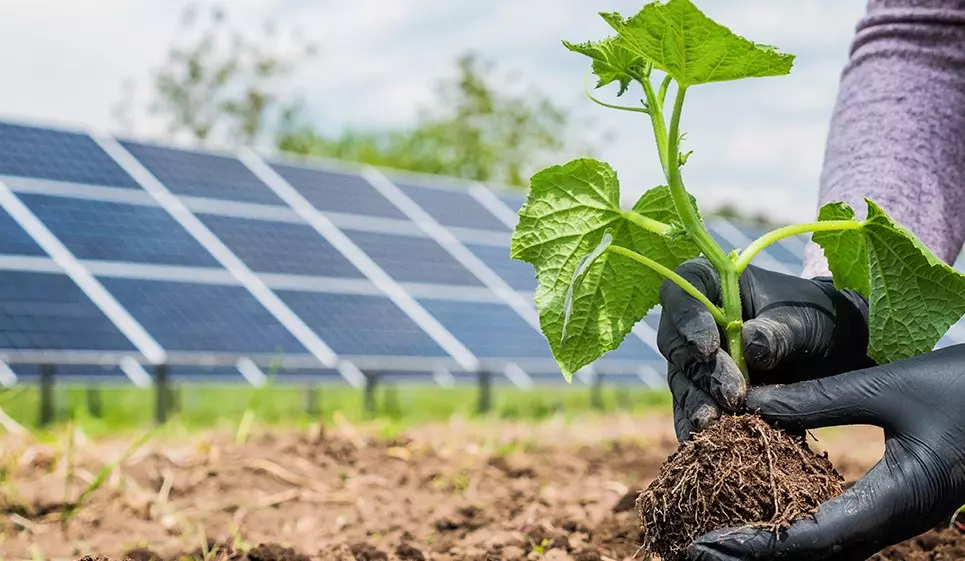 Deputado Gil Pereira defende energia fotovoltaica para toda MG