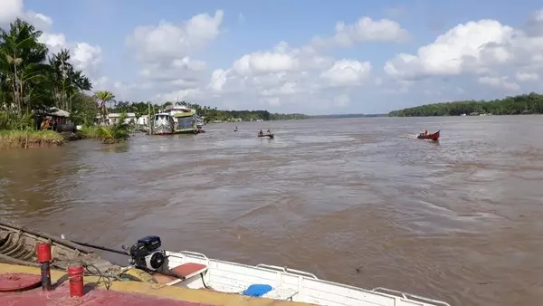 Nascidos na foz do rio