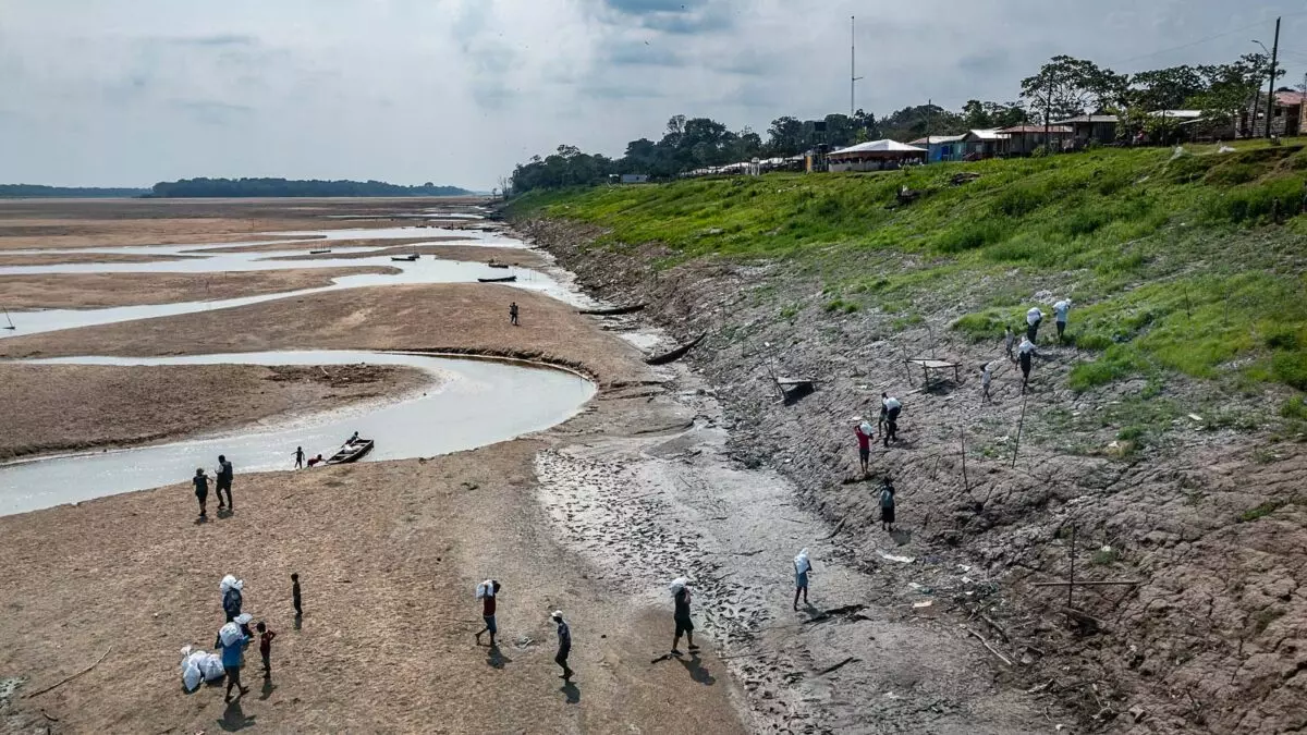 Rios da Amazônia estão secando antes do esperado