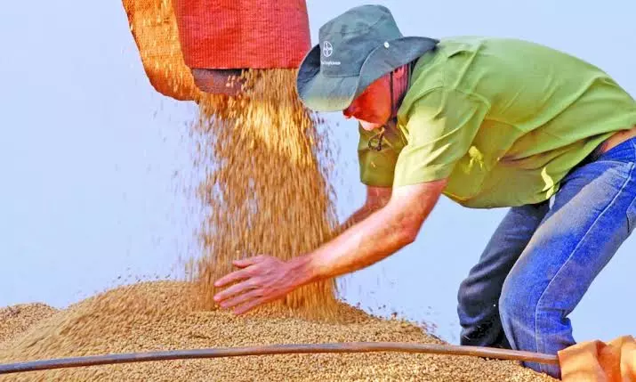 Mudança climática já influi na produção de grãos