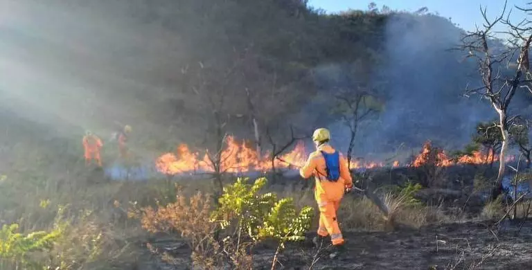 Fogo na Serra do Cipó