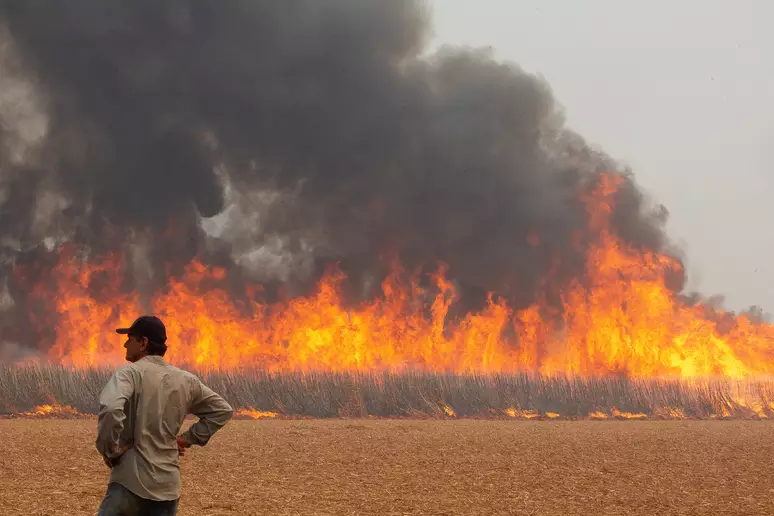 O Brasil arde em chamas