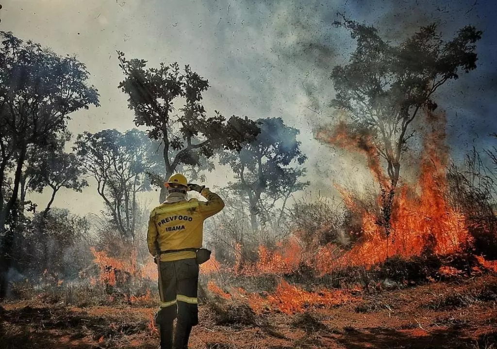 A mão que ateia fogo tem 10 dedos