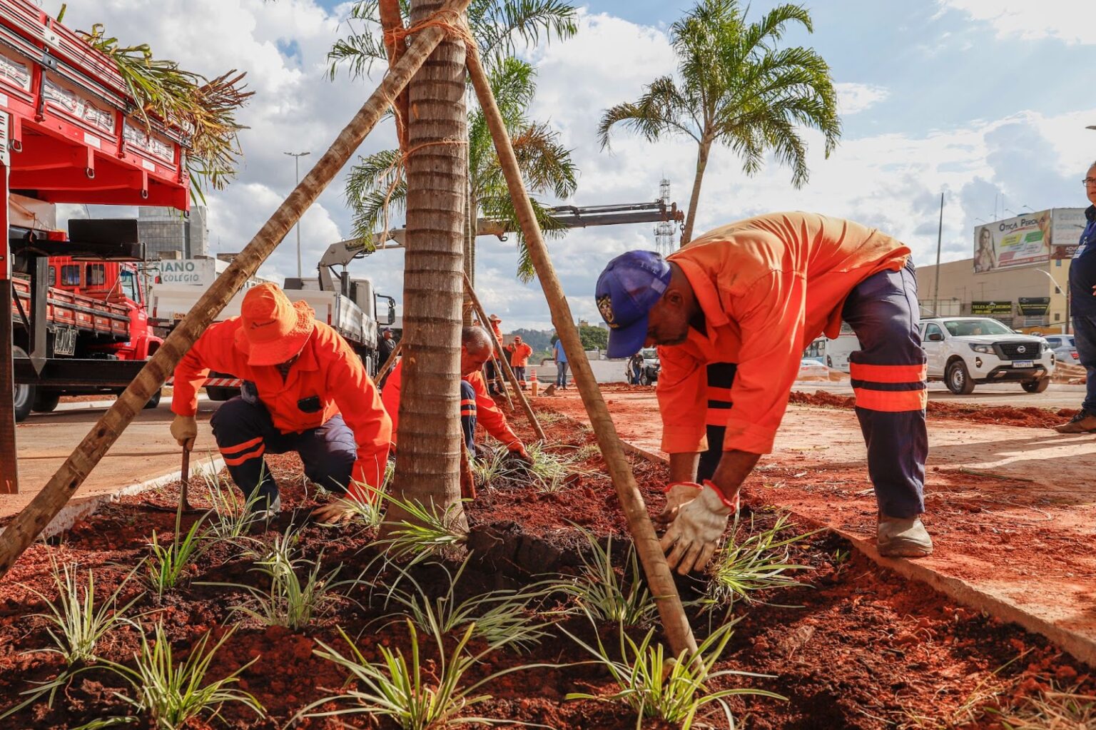 Sol Nascente/Pôr do Sol recebe projeto de arborização com mudas do Cerrado