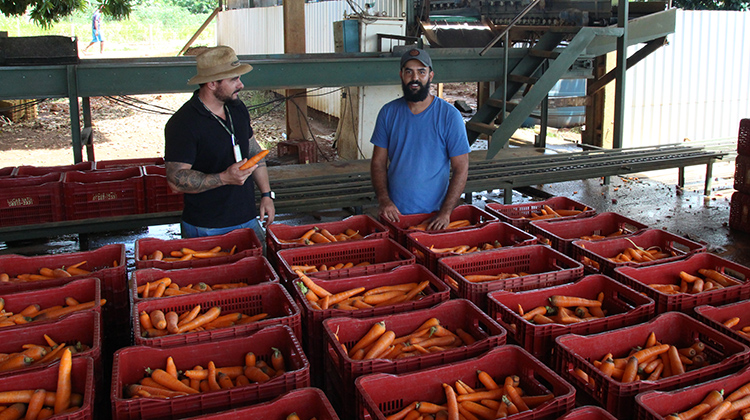 Produtor rural cria projetos de implementos para facilitar o trabalho agrícola