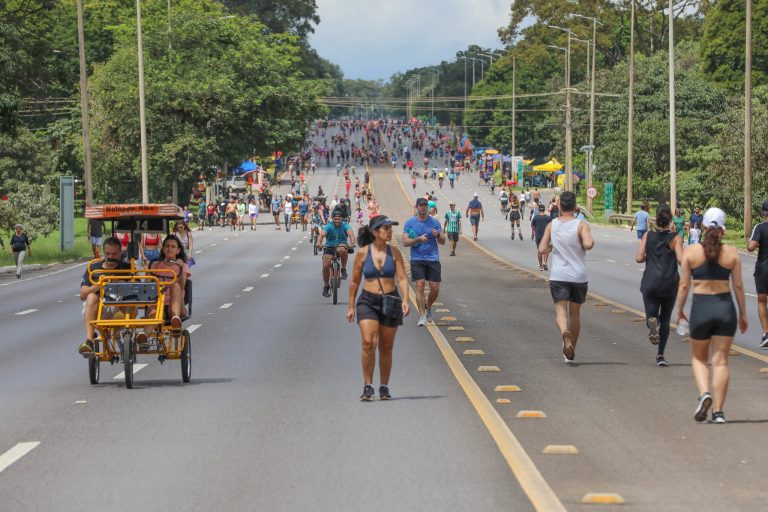 Estudo aponta que árvores ajudam a reduzir temperatura ao seu redor