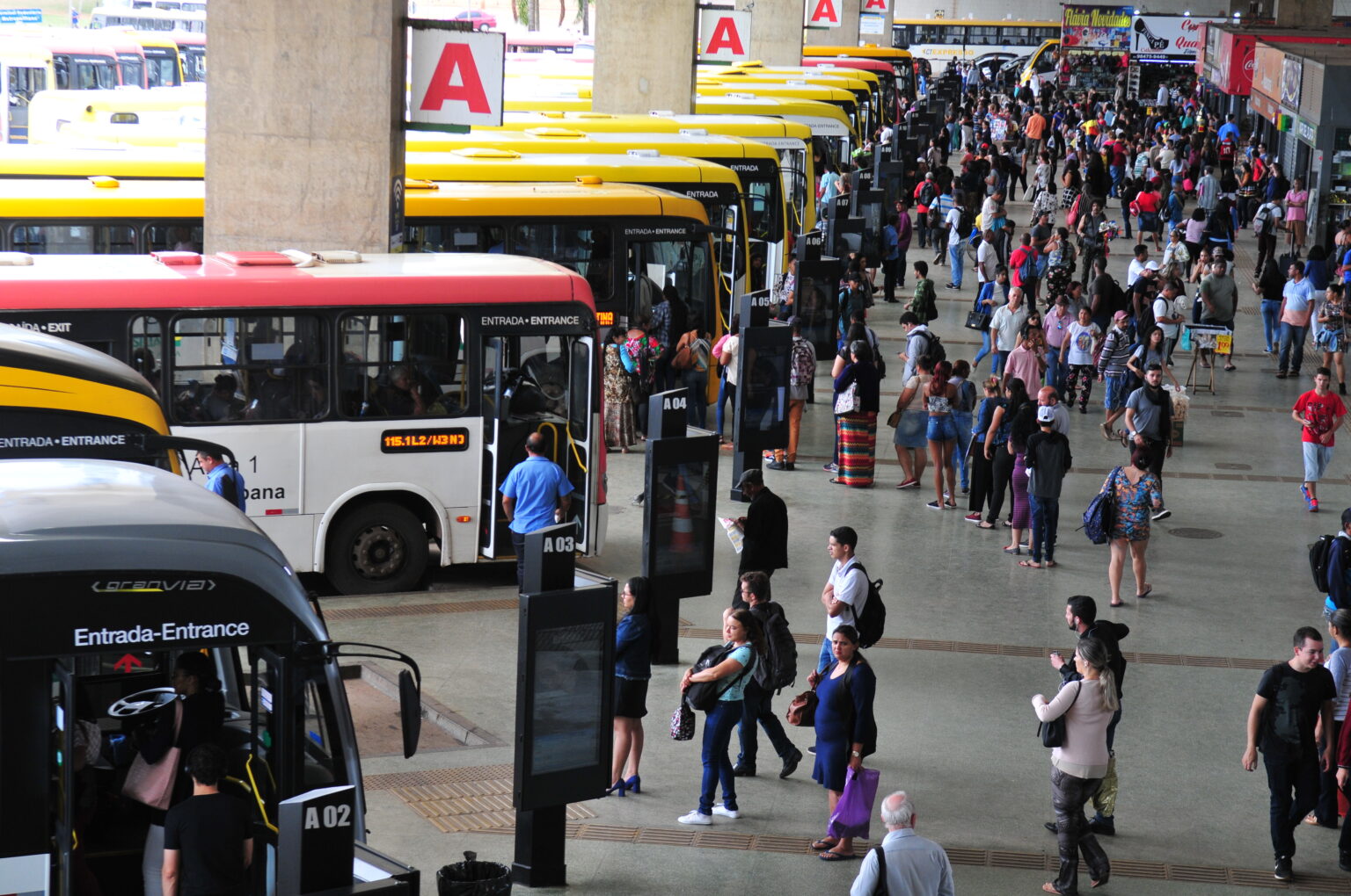 Entenda direitos dos idosos em caso de violação à gratuidade nos ônibus