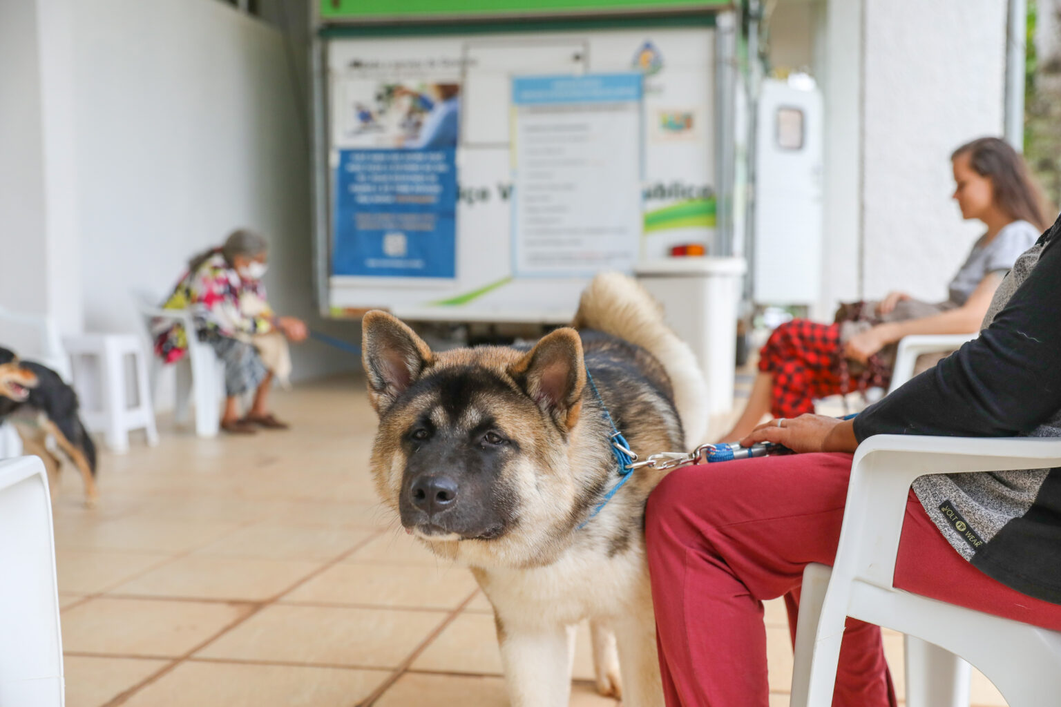 Começa nesta segunda (18) cadastro presencial para castração de cães