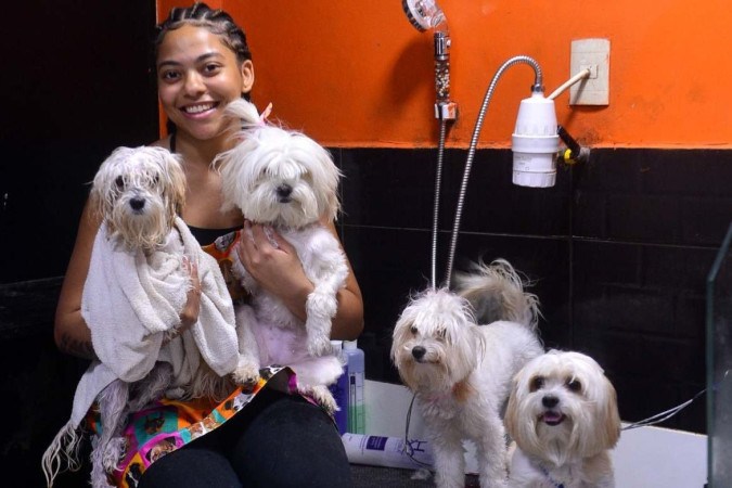 Banhista de cachorros de Brasília vira influencer no TikTok