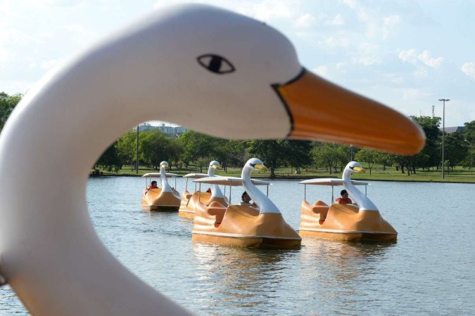 Parque da Cidade completa 45 anos cada dia mais de todos