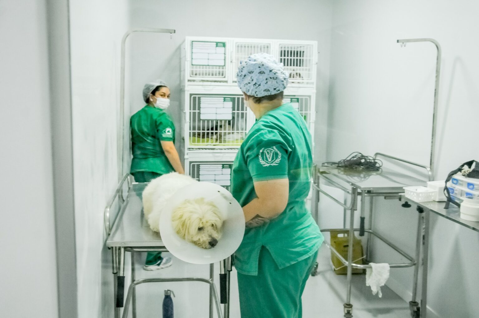 Últimos dias para atendimento veterinário gratuito no Sol Nascente