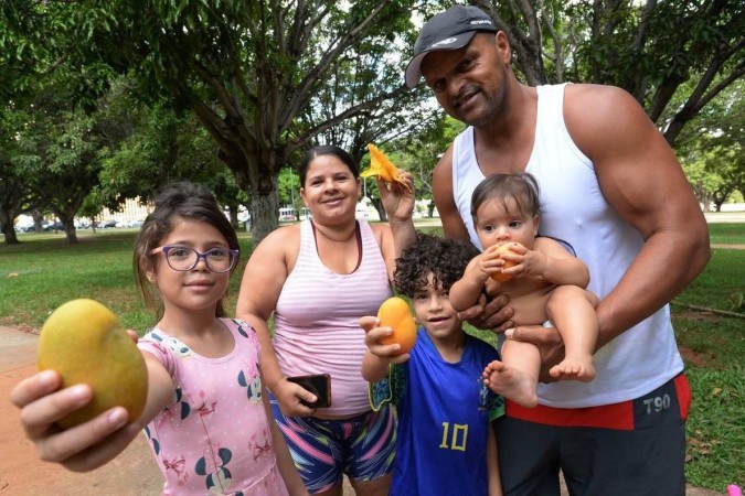 Famílias do DF aproveitam temporada de frutas em abundância pela cidade, manga são as preferidas