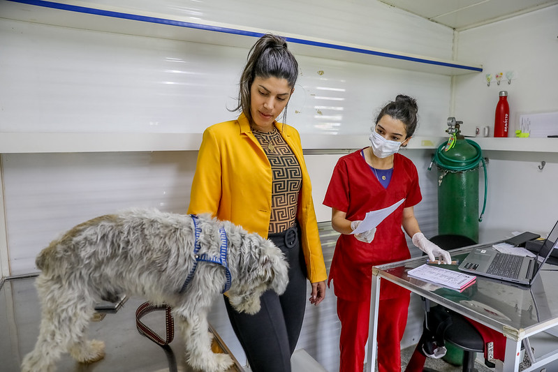 Hvep Móvel chega ao Recanto das Emas com atendimento gratuito a pets