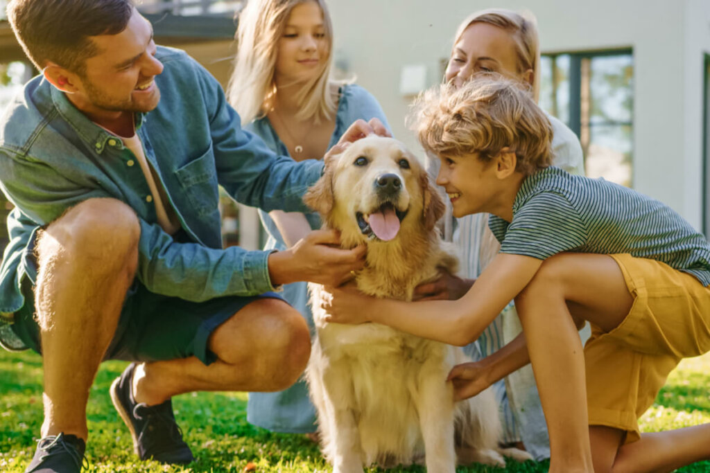 6 benefícios dos animais para a saúde mental das pessoas