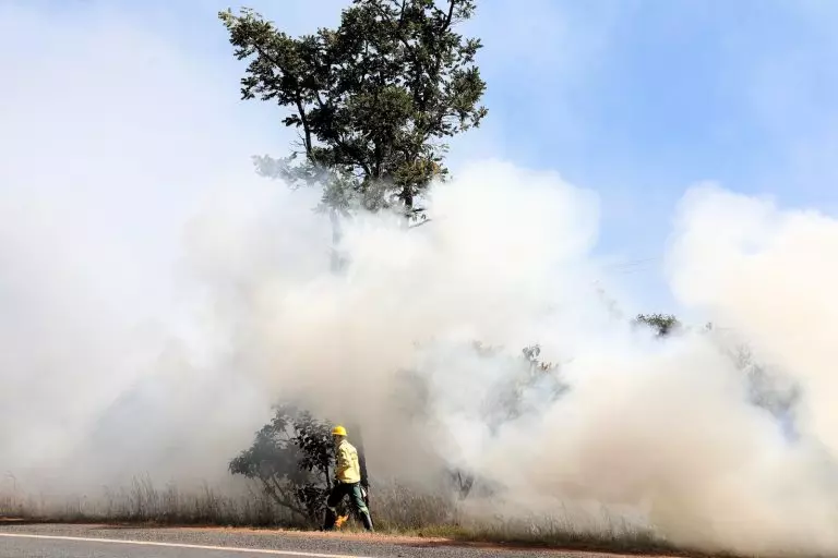 Decreto possibilita contratação de 150 brigadistas florestais