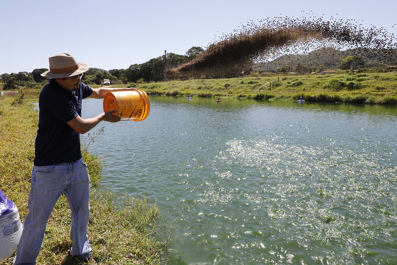 Criação de pescados bate recorde com formalização de produtores rurais