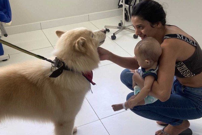 Cães de suporte emocional visitam crianças em tratamento no Hmib