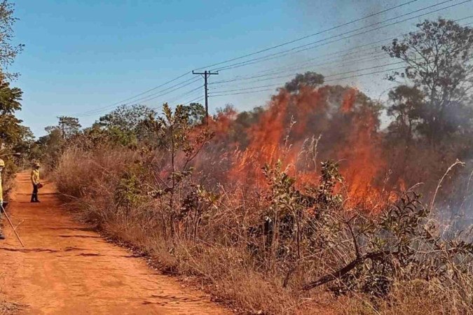 Distrito Federal entra em alerta contra incêndios florestais