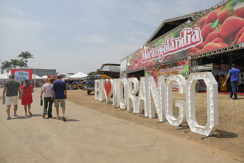 Festa do Morango movimenta a economia de Brazlândia com comercialização de produtos