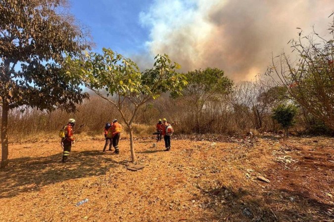 Dois bombeiros ficam feridos em combate ao incêndio no Parque Nacional