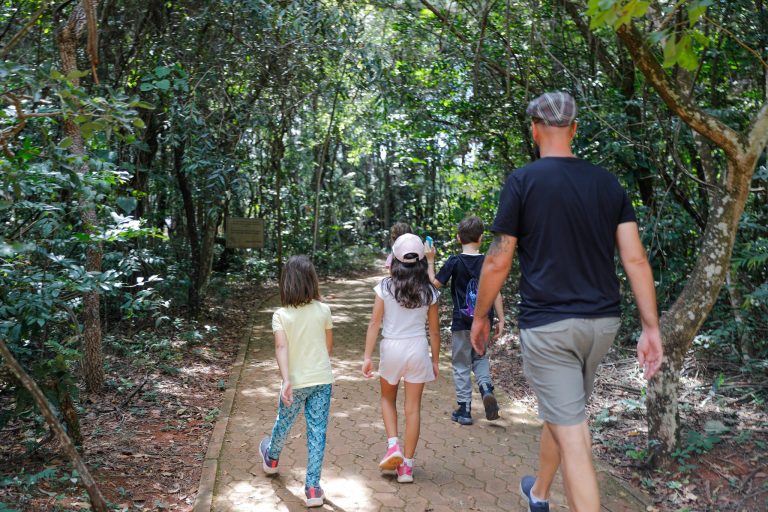 Banho de floresta no Jardim Botânico de Brasília oferece conexão com a natureza