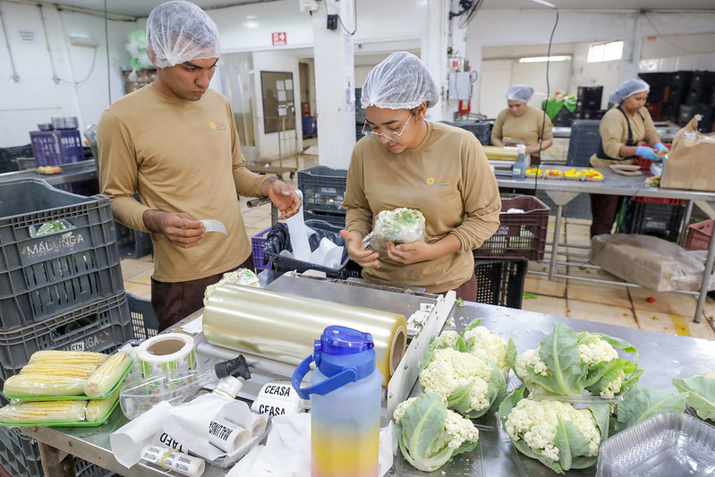 Produtores rurais vão representar DF em feira internacional do setor de frutas e hortaliças