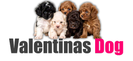 Logo do site