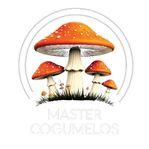 Logo do site