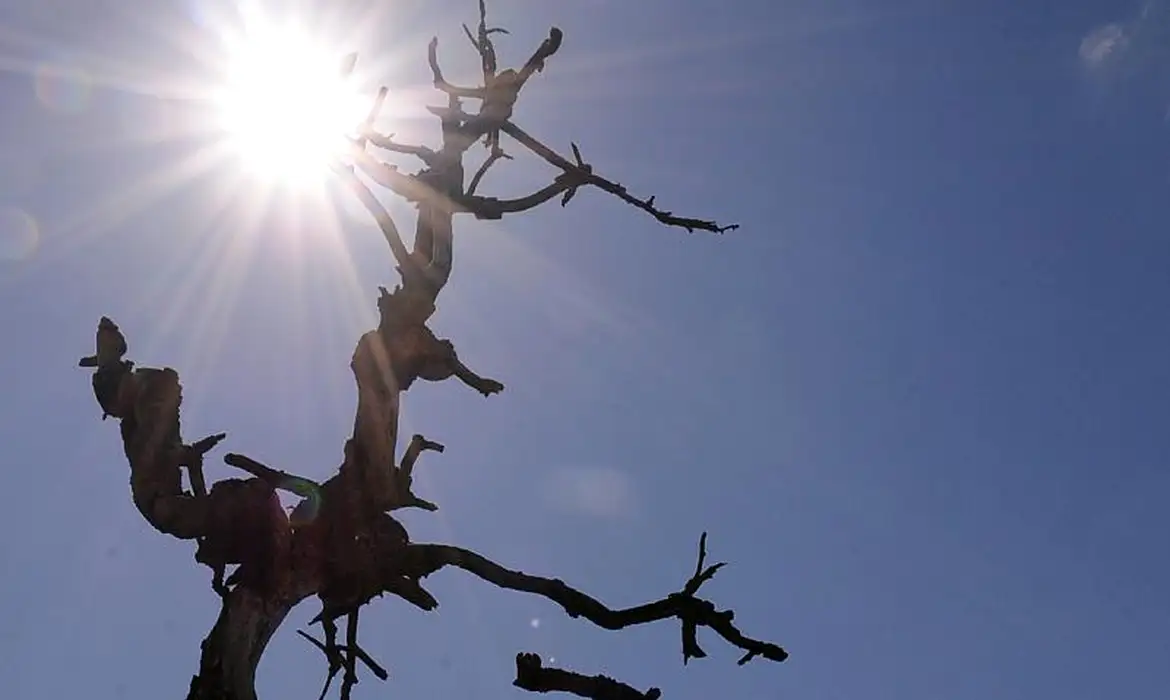 Escassez hídrica já afeta 94 cidades pernambucanas