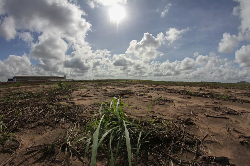 Pernambuco decreta situação de emergência em 118 cidades por causa da seca, Sertão do Araripe está na lista