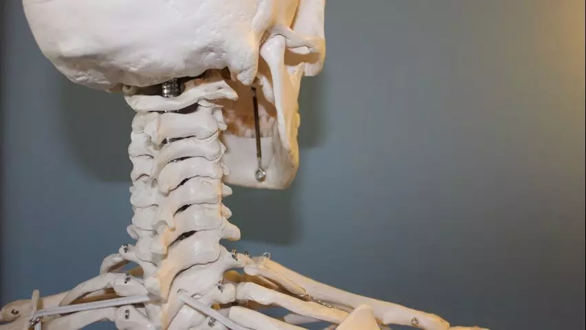 Imagem Segundaria do Produto