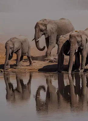 Namibia