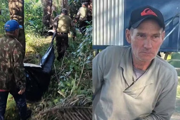 Onça que matou caseiro no Pantanal é capturada