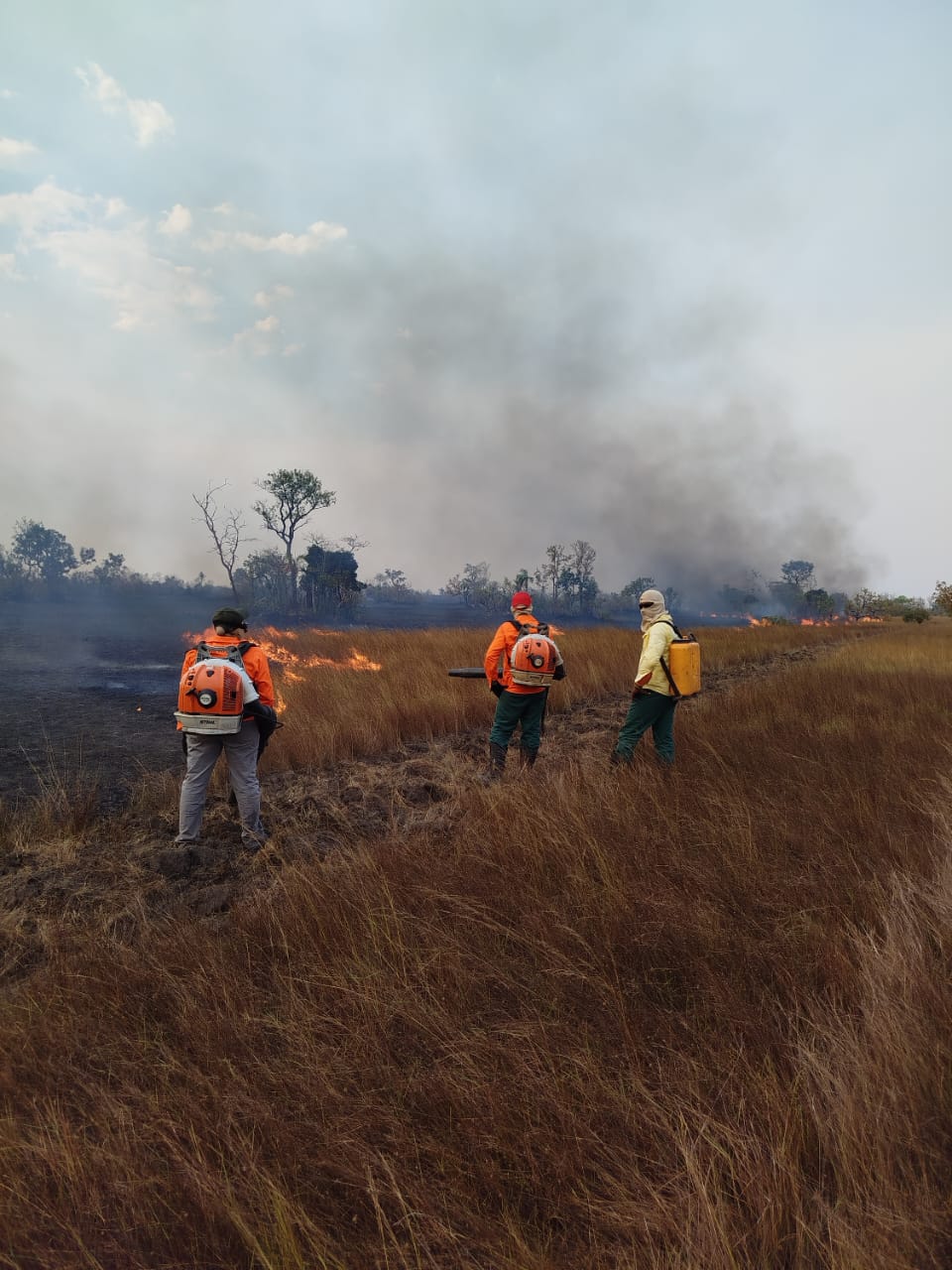 Heróis do Araguaia: Brigadistas Combatem Incêndios e Precisam da Nossa Ajuda!