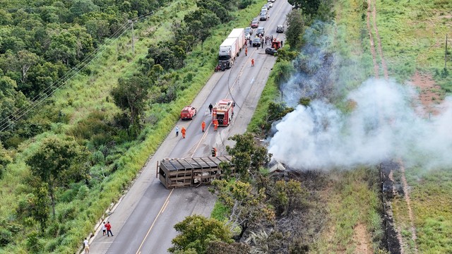 Motorista morre após acidente com carreta que transportava bois em MT