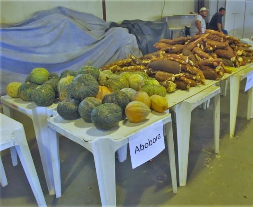 Prefeitura de Jaguaré realiza 5ª Etapa do programa CDA na próxima semana