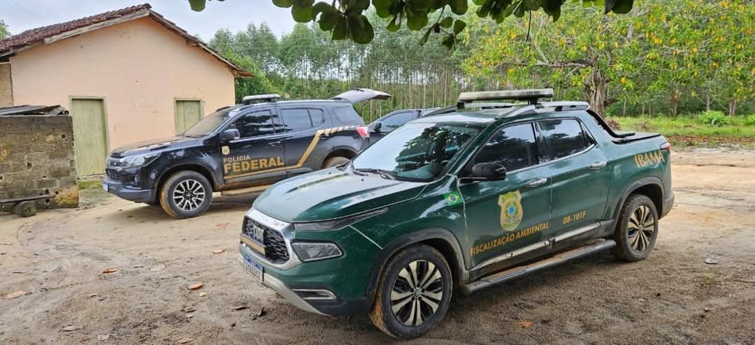 Operação da PF, IBAMA e ICMBio mira caçadores em Pedro Canário, Conceição da Barra e Sooretama
